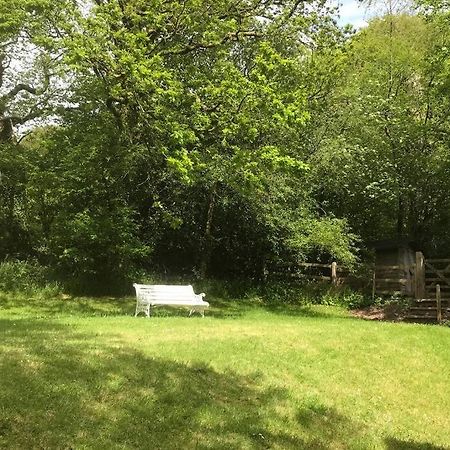 Peaceful Cottage, Close To Coast & Moor Parracombe Exteriör bild